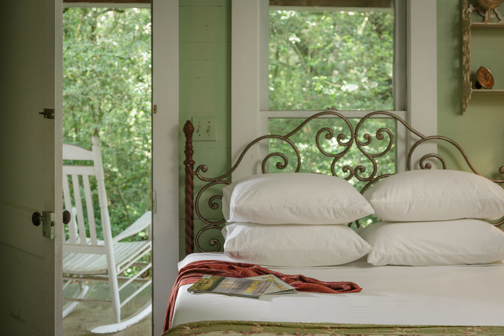 Blisswood Bed And Breakfast Ranch Cat Spring Extérieur photo